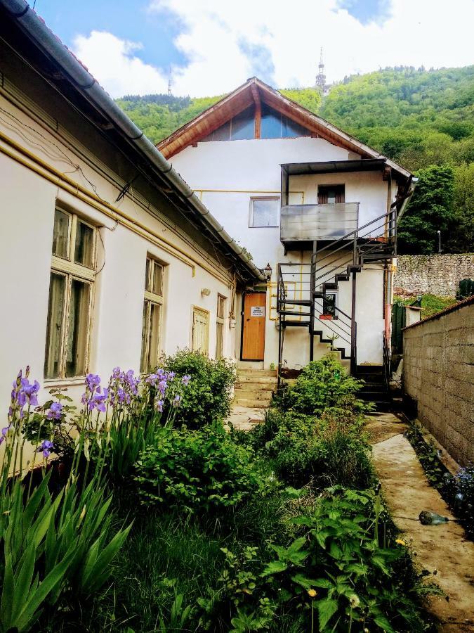 Downtown Hostel Braşov Exterior foto