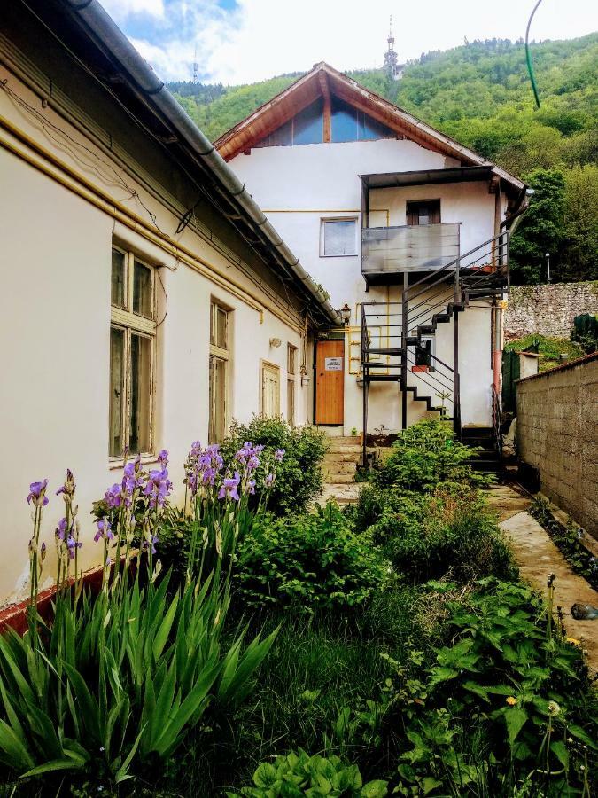 Downtown Hostel Braşov Exterior foto